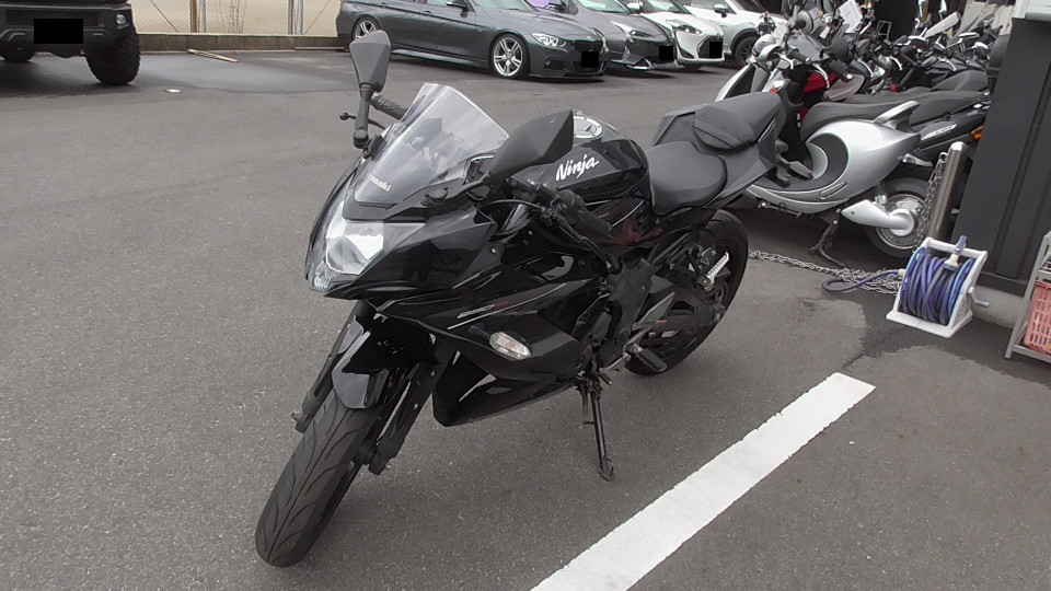 バイクCity Ninja ニンジャ 250SL 通販
