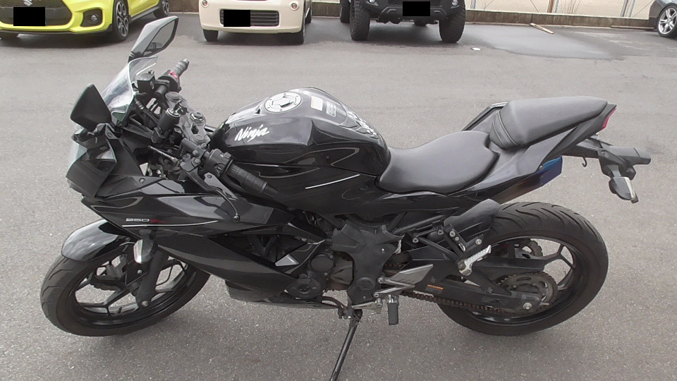 バイクCity Ninja ニンジャ 250SL 通販