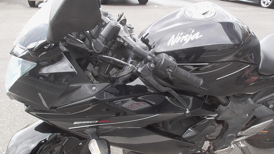 バイクCity Ninja ニンジャ 250SL 通販