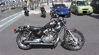 XV250�r���[�S