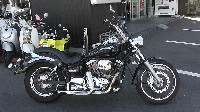 �h���b�O�X�^�[250