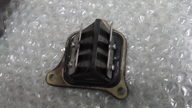 リード　沢山　⑥ 1666330665_20221021_3.jpg