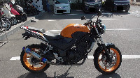 CBR250R ABS �l�C�L�b�h�d�l