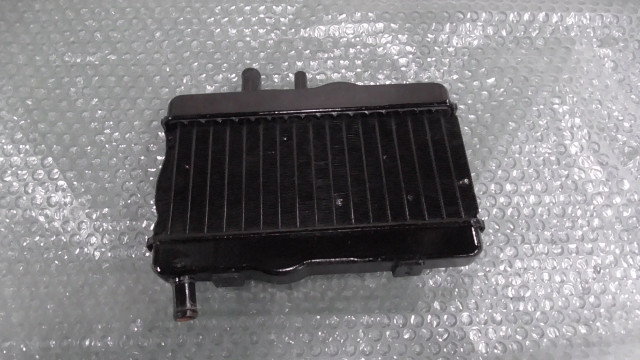 NSR50 AC10-1021xxx の ラジエター