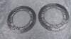 12000